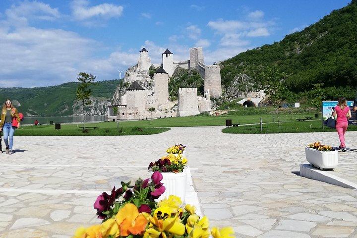 Excursion privée à la forteresse de Golubac