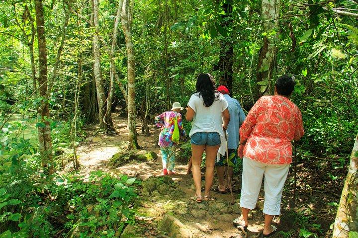 Waterfalls & Nature Day-Trip Experience