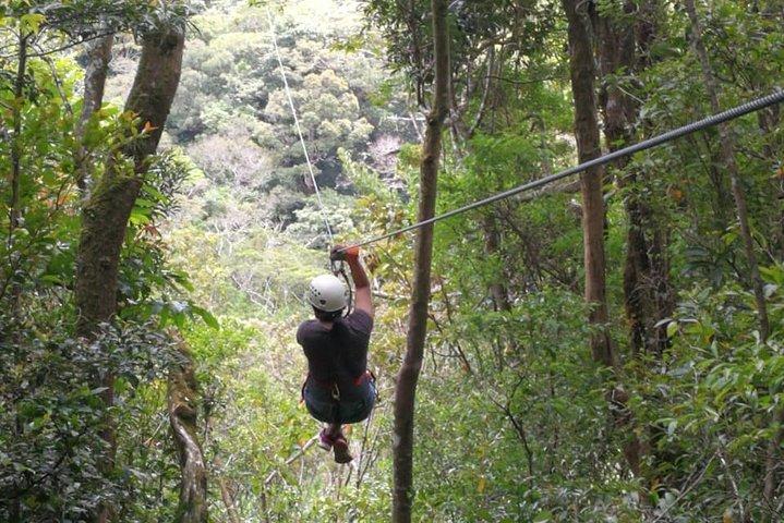 Tour por el Canopy original Monteverde, Tirolesa