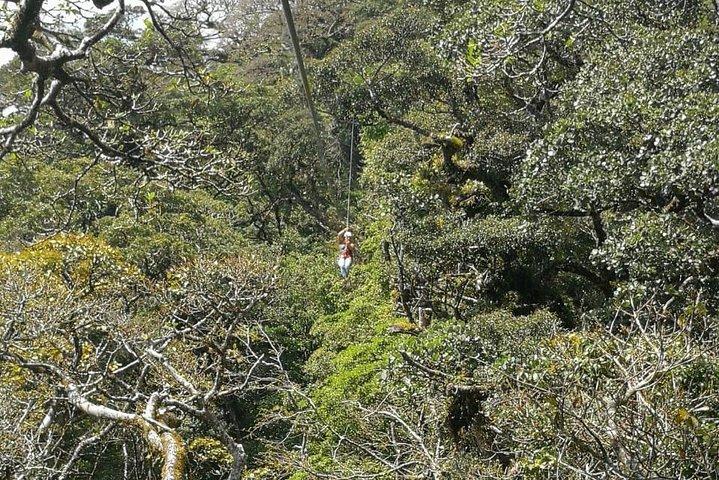 Tour por el Canopy original Monteverde, Tirolesa