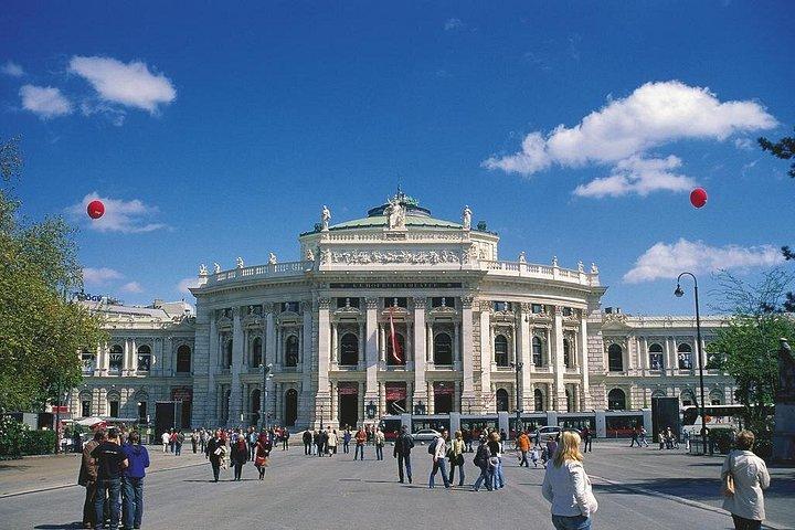 シェーンブルン宮殿の優先入場とウィーンのハイライト プライベート ツアー