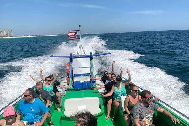 Cruzeiro de golfinhos em Destin FL