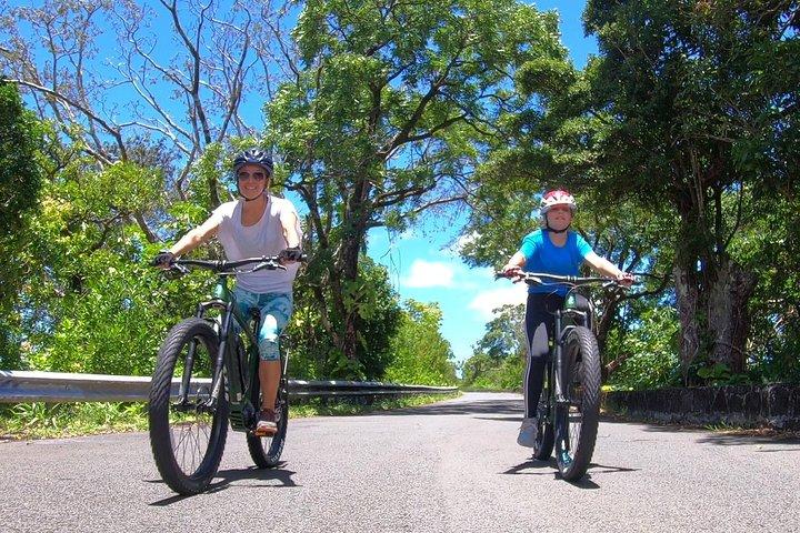 eBike Tour Honolulu Rainforest