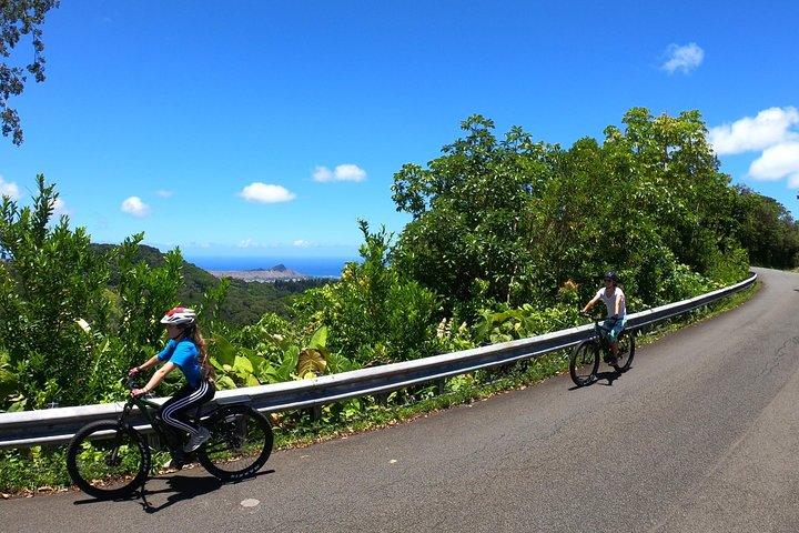 eBike Tour Honolulu Rainforest