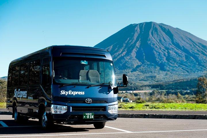SkyExpress: Sapporo Tilpasset Privat Dagstur (op til 15 passagerer)