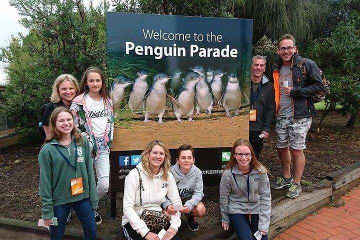 Phillip Island Medium Size Group Tour