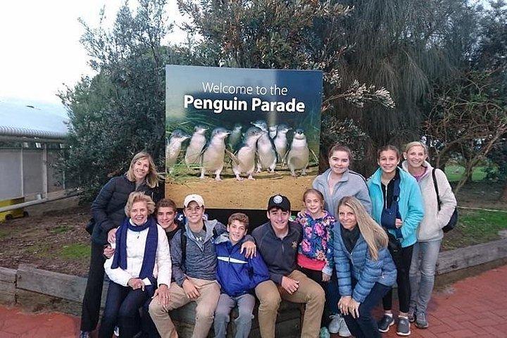 Phillip Island Medium Size Group Tour