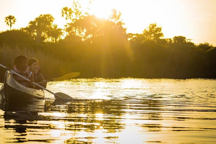 3 Day Garden Route Highlights and Safari with Private Transfers