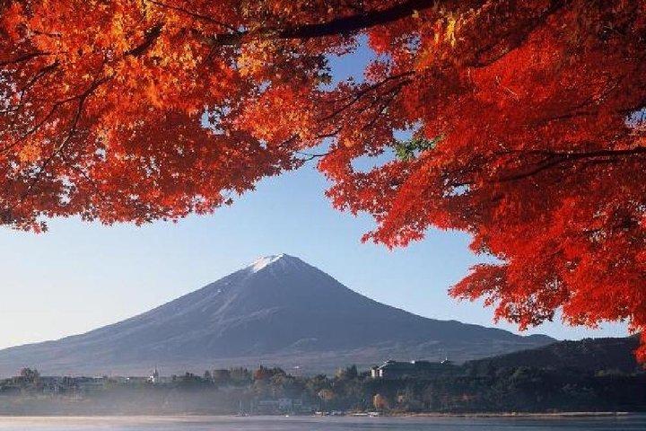 富士山＆箱根ツアー：クルーズ＆ドラムショー＆新幹線往復