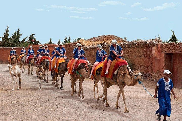 Marrakech Camel Ride Tour