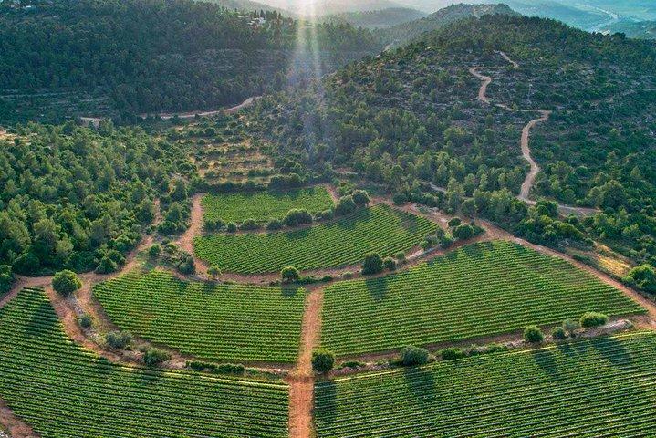 Judean Hills wijnproeverij vanuit Jeruzalem