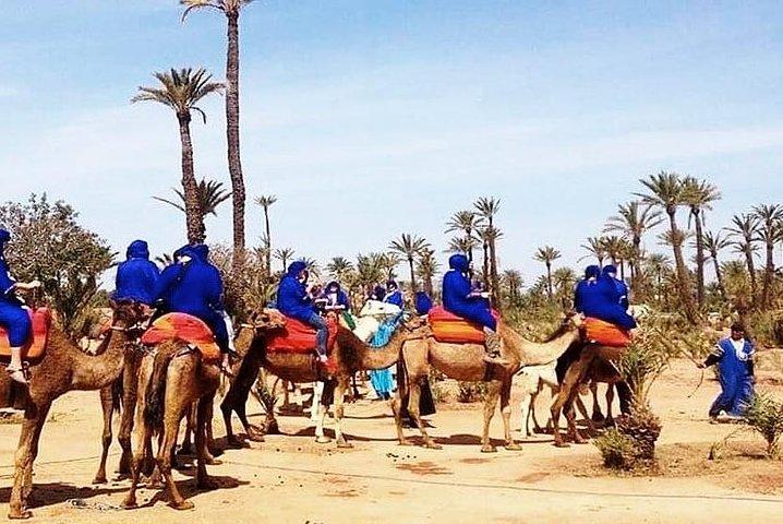 camel ride on the palm grove marrakech