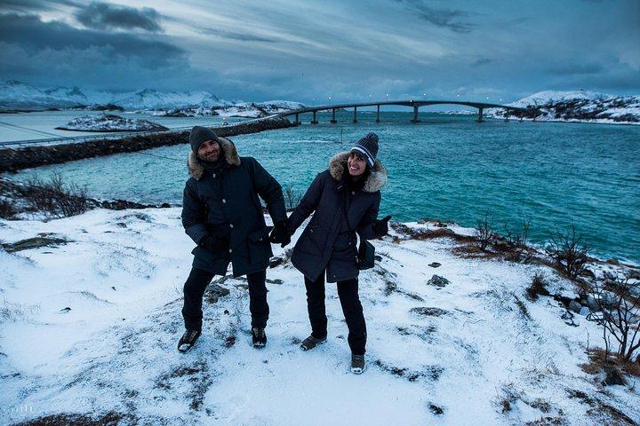 Tromsø : 北極圏フィヨルド旅行（観光ランチと写真付き）