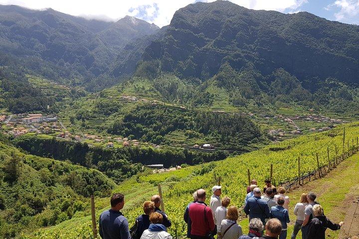 Wines Tasting Experience and Skywalk with Dolphin Watching