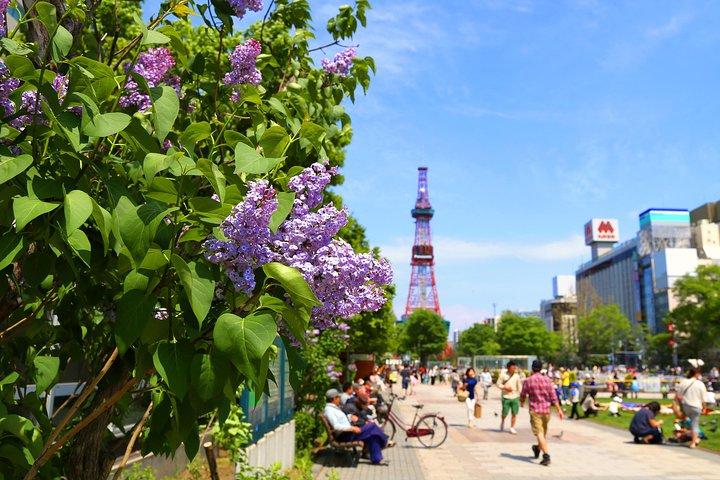 SkyExpress: Sapporo Tilpasset Privat Dagstur (op til 8 passagerer)