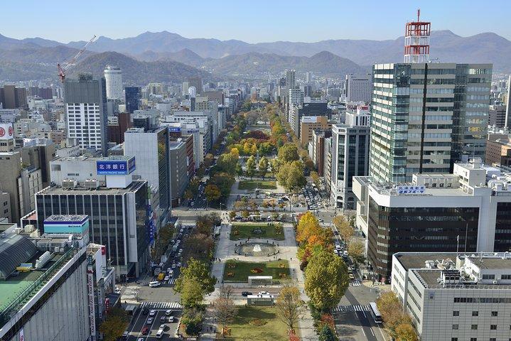 SkyExpress: Sapporo Tilpasset Privat Dagstur (op til 15 passagerer)