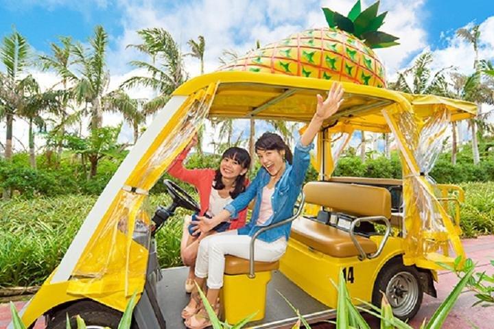 Recorrido en autobús hip hop de Okinawa (Acuario Churaumi, isla Kori)