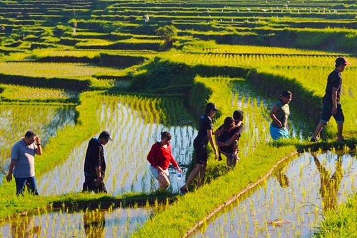 Uma viagem cultural no leste de Bali: Bali Aga Trekking Tour