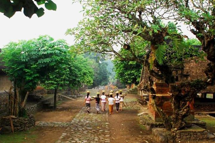 Un voyage culturel à l'est de Bali: Bali Aga Trekking Tour