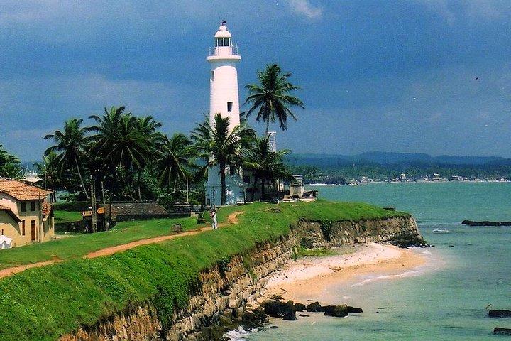 Day Visit to Dutch Galle Fort & Bentota Mangrove Safari From Colombo
