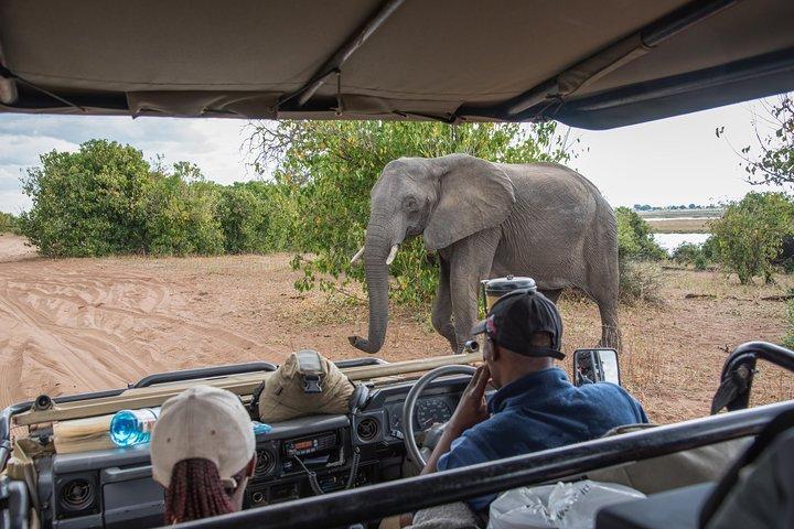 Chobe Nationalpark Tagestour — ab Livingstone