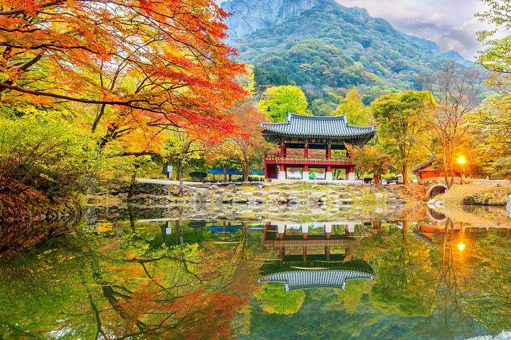 Naejangsan National Park Autumn Foliage One Day Tour from Busan