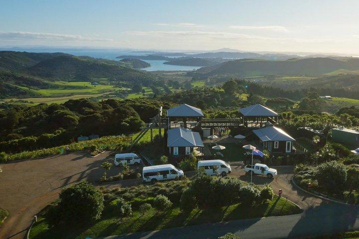Waiheke Island: Zipline og skovvandring
