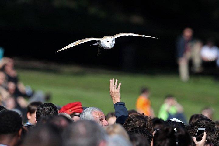 オックスフォード、ストラトフォード・アポン・エイボン、コッツウォルズ＆ウォリック城日帰り旅行