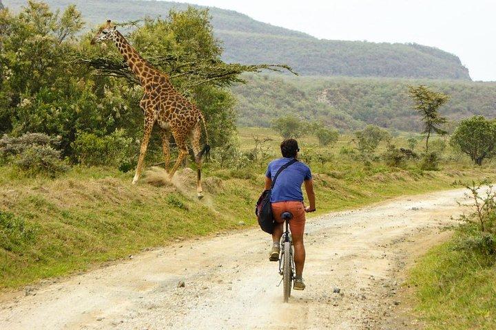 Nairobi: Hell's Gate National Park & Lake Naivasha Day Trip