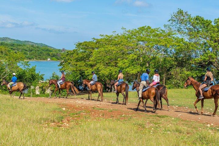 Cavalgada e Natação de Ocho Rios