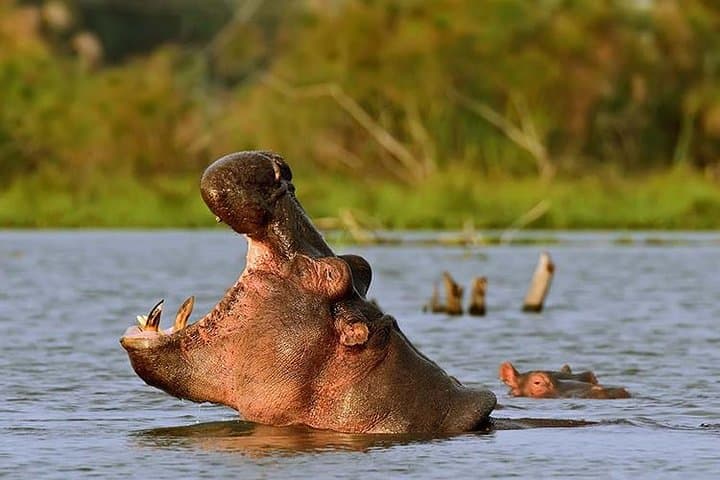 Nairobi: Hell's Gate Day Trip and Lake Naivasha Boat Ride