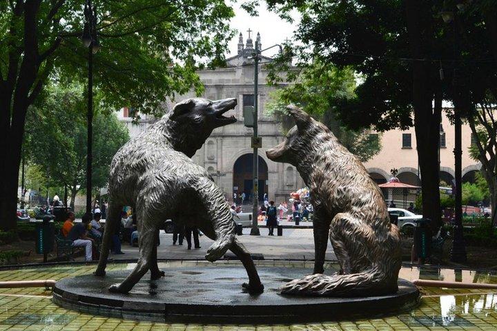 ソチミルコ大学、コヨアカン大学、シウダー大学への訪問