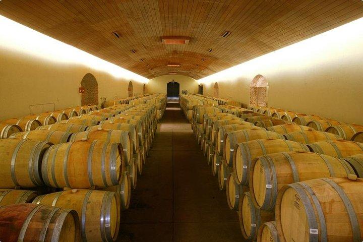 Santiago Super Saver: 2-dages City Sightseeing og Concha y Toro Winery Tour