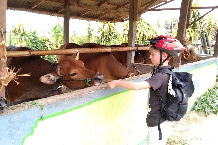 Bali Cycling Tour - exploring bali countryside by bike