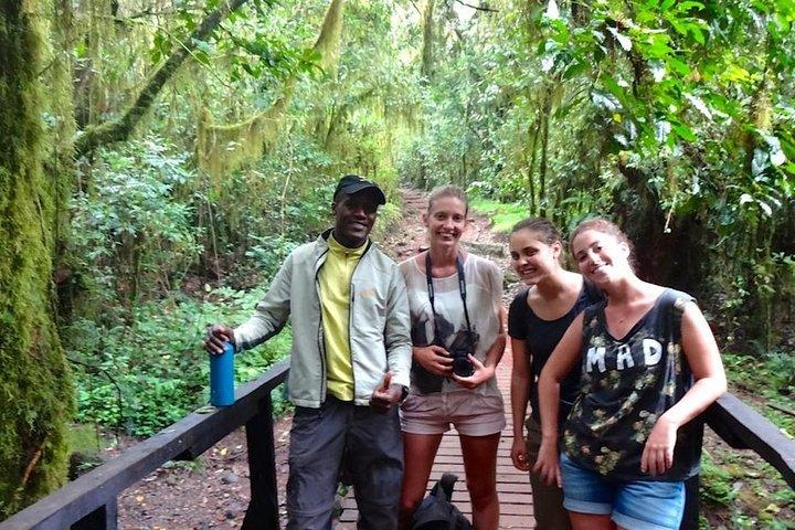 From Arusha: Mount Kilimanjaro Day Tour