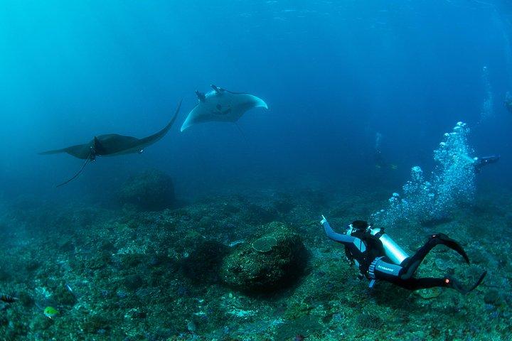PADI Advanced Open Water Course von Bali Hai Diving Adventures