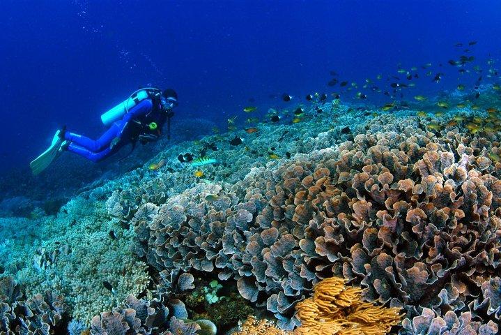 PADI Advanced Open Water Course von Bali Hai Diving Adventures