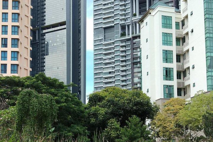 Tour de familiarización - Singapore City Core