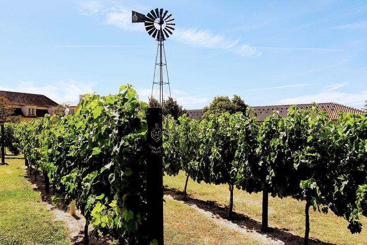 Lisbonne Surf & Wine