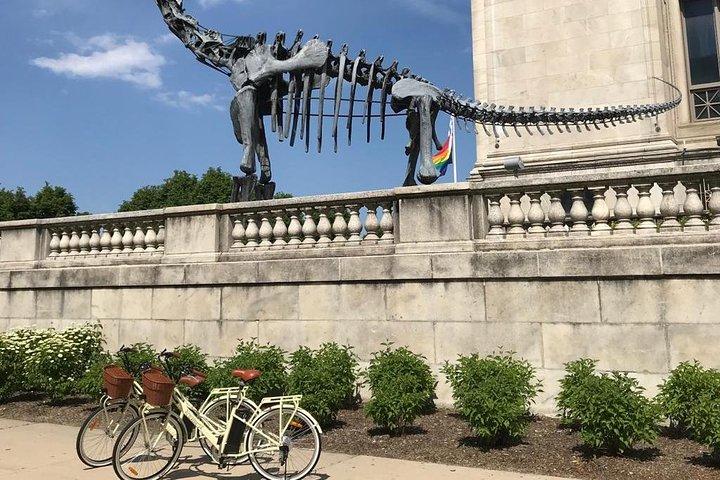 シカゴ湖畔の電動自転車ツアー