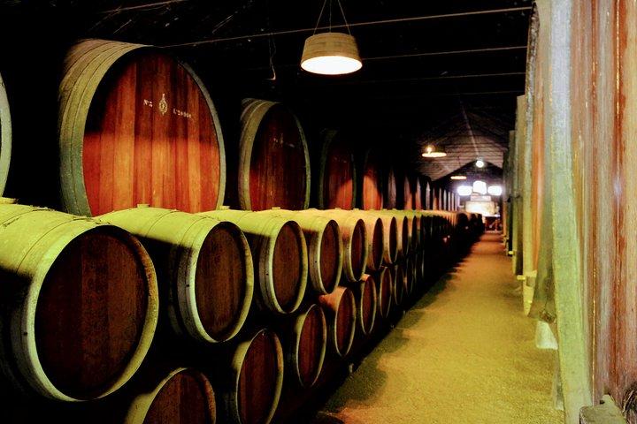 Lisbonne Surf & Wine