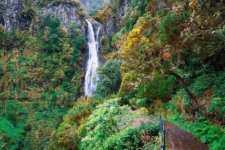 Full-Day Rabaçal Levada Walk from Funchal