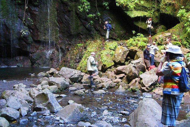 Full-Day Rabaçal Levada Walk from Funchal