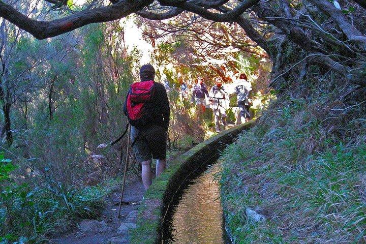 Full-Day Rabaçal Levada Walk from Funchal