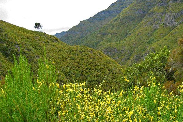 Full-Day Rabaçal Levada Walk from Funchal