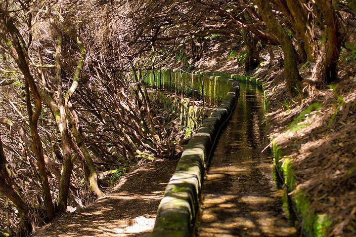 Full-Day Rabaçal Levada Walk from Funchal