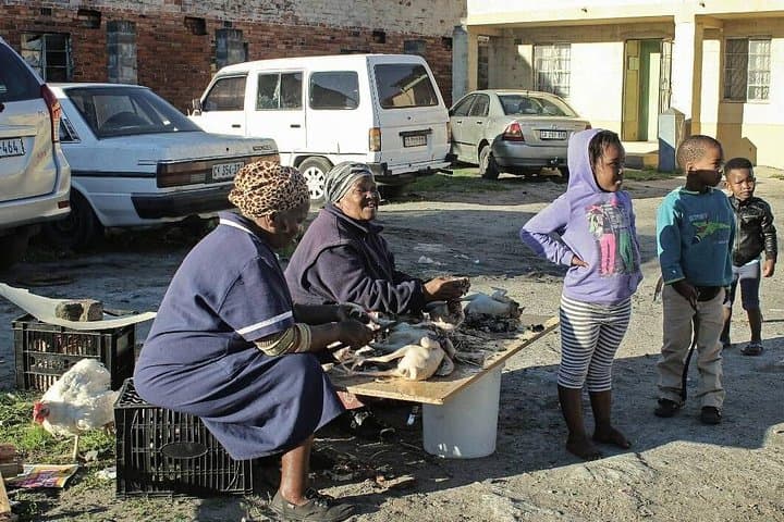 Halfday township tour