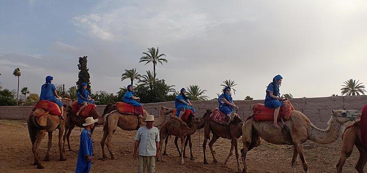Camel ride i Marrakech (Palmerie)