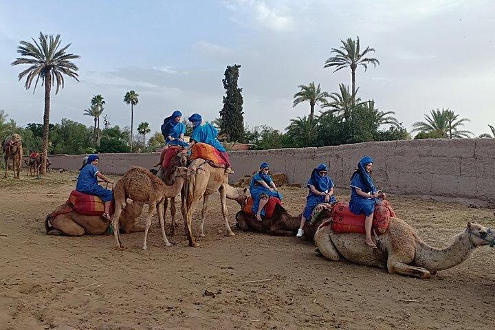 Cammello a Marrakech (Palmerie)