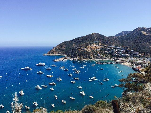 Catalina Island mit Entdeckung der Avalon Scenic Tour & Hoteltransfers